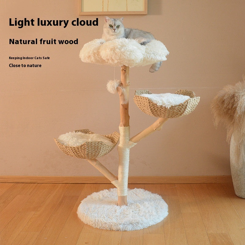 Natural Fruit Tree Cat Climbing Frame Solid Wood Rattan Cat Nest Cat Tree