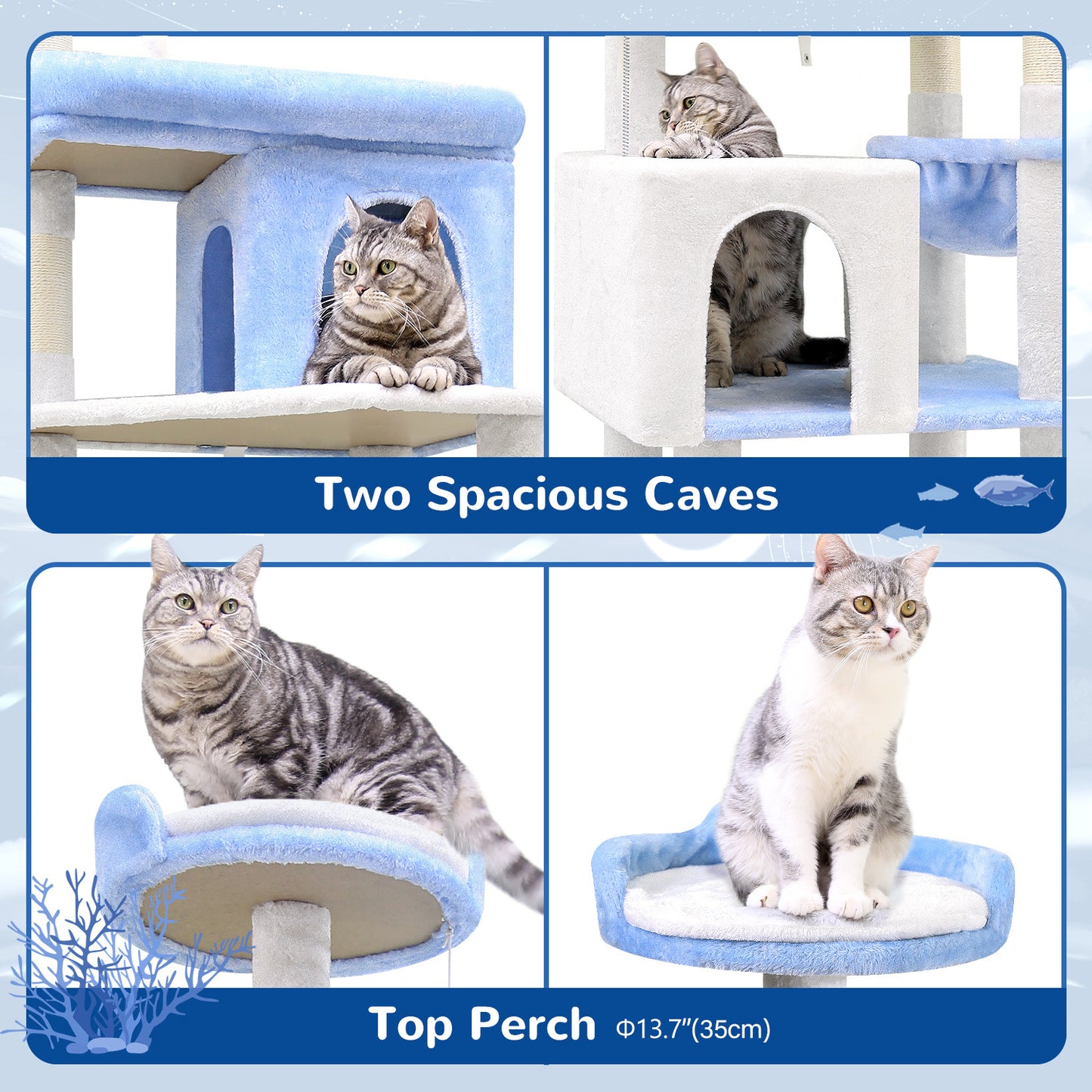 Marine Blue Cat Climbing Frame